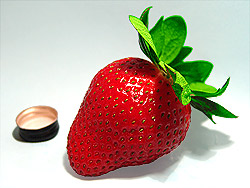 Possibly the best tasting strawberry in the world. Pesticide free... Bottle cap for sizing.